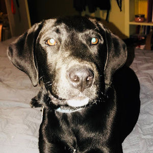 Meet your Posher, Raymond